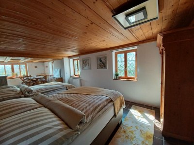 Holiday house Landhaus Alpenpanorama - Features photo 27