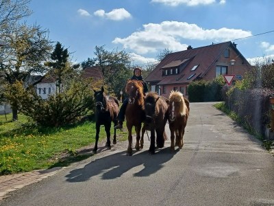Holiday house Landhaus Alpenpanorama - Environment photo 36