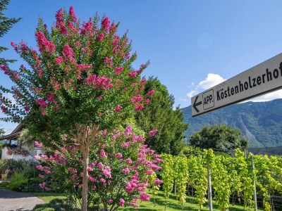 Holiday apartment KÃ¶stenholzerhof 2 - Outdoor photo 5