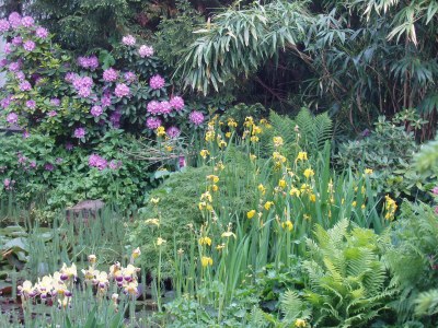 Holiday apartment KÃ¶stenholzerhof 2 - Outdoor photo 7