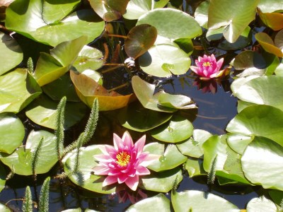 Holiday apartment KÃ¶stenholzerhof 2 - Outdoor photo 8