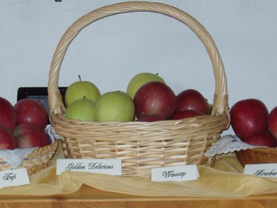 Holiday apartment KÃ¶stenholzerhof 2 - Outdoor photo 9