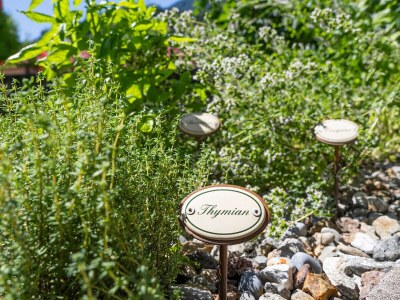 Holiday apartment KÃ¶stenholzerhof 2 - Outdoor photo 11