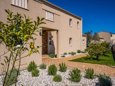 Villa Arancin Novigrad - Outdoor photo 6