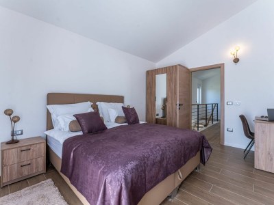 Villa Arancin Novigrad - Features photo 19