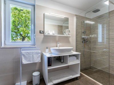 Villa Arancin Novigrad - Features photo 20