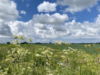 Holiday house Noazem - Outdoor photo 6
