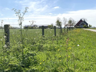 Holiday house Noazem - Outdoor photo 7