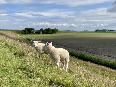 Holiday house Noazem - Environment photo 27