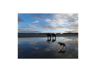 Holiday apartment Inselloft 60 - Environment photo 30