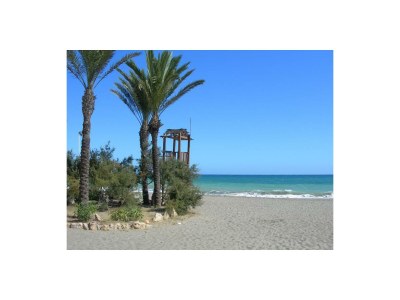 Finca Tower - Environment photo 25