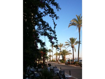 Finca Tower - Environment photo 27