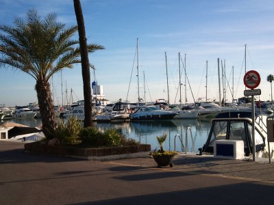 Finca Tower - Environment photo 28