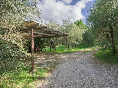 Villa La Casina - Outdoor photo 28