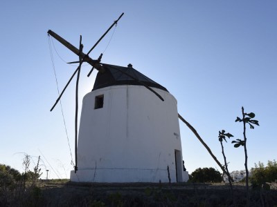 Holiday house Los Remos - Environment photo 28