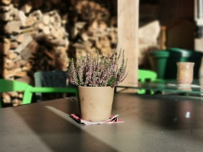 Apartment Ferienwohnung - Outdoor photo 14