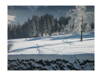 Apartment Appartement Schwab Top 3 – Ski in / Ski out - Outdoor photo 20