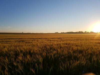 Holiday apartment Südwind - Environment photo 14