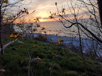 Holiday apartment Südwind - Environment photo 16