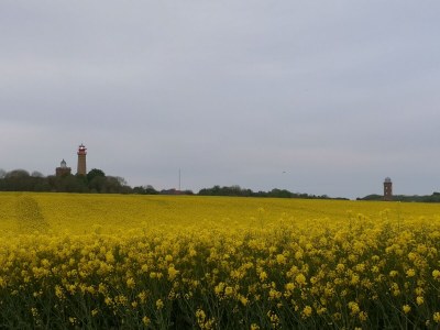 Holiday apartment Westwind - Environment photo 16