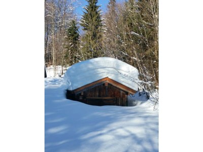 Holiday apartment Klausenberg/Hausberg - Gästehaus am Maibaum - Outdoor photo 10