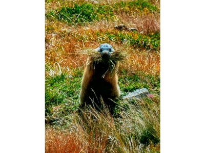 Holiday apartment Klausenberg/Hausberg - Gästehaus am Maibaum - Outdoor photo 11