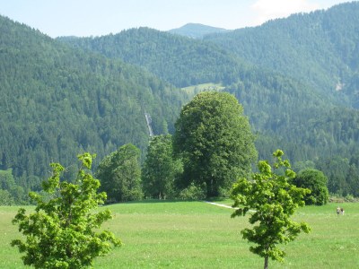 Holiday apartment Klausenberg/Hausberg - Gästehaus am Maibaum - Outdoor photo 17