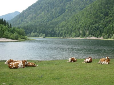 Holiday apartment Klausenberg/Hausberg - Gästehaus am Maibaum - Outdoor photo 18