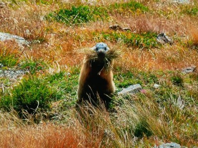 Holiday apartment Klausenberg/Hausberg - Gästehaus am Maibaum - Environment photo 38