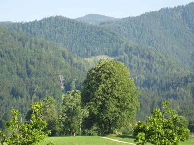 Holiday apartment Klausenberg/Hausberg - Gästehaus am Maibaum - Environment photo 39