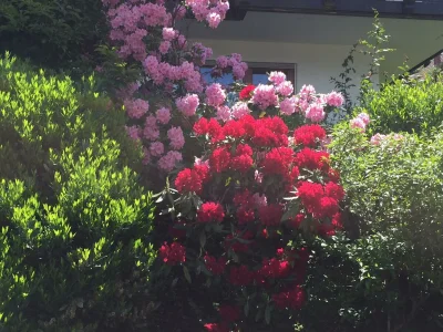 Apartment Auenblick - Outdoor photo 8