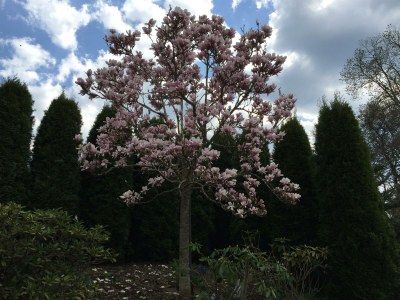 Apartment Gartenblick - Outdoor photo 7