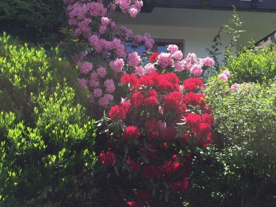 Apartment Gartenblick - Outdoor photo 8