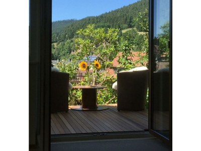 Apartment Gartenblick - Features photo 15