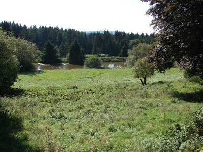 Apartment 2-Personen-Bauwagen, Sanitär im Haupthaus - Outdoor photo 7