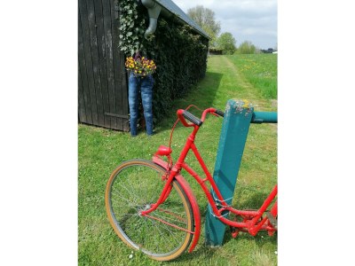 Apartment 6-Bett-Ferienhaus Eifelmomente - Outdoor photo 15