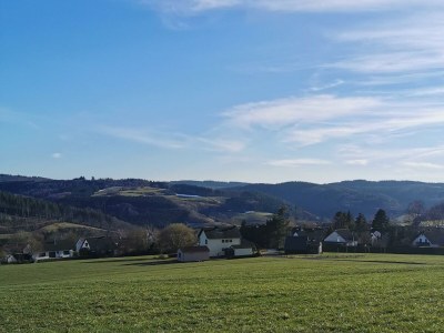 Apartment 6-Bett-Ferienhaus Eifelmomente - Features photo 32