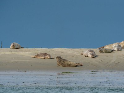 Holiday house Het Hofke - Environment photo 28