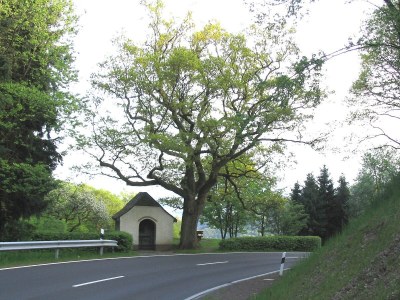 Holiday apartment Andreas Thul - Environment photo 17