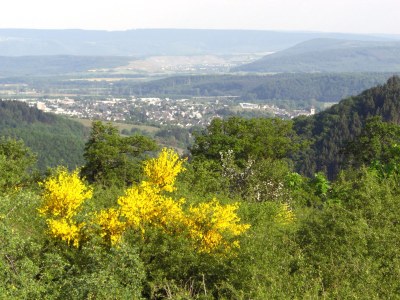 Holiday apartment Andreas Thul - Environment photo 21