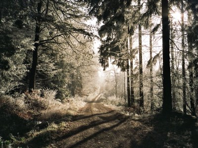 Holiday apartment Andreas Thul - Environment photo 22