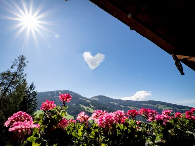 Holiday apartment in the Landhaus Alpbach - Outdoor photo 7