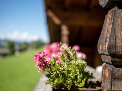 Holiday apartment in the Landhaus Alpbach - Outdoor photo 10