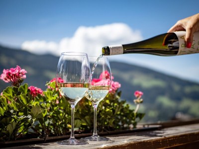 Holiday apartment in the Landhaus Alpbach - Outdoor photo 11
