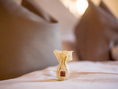 Holiday apartment in the Landhaus Alpbach - Features photo 20