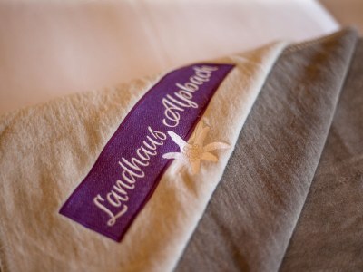 Holiday apartment in the Landhaus Alpbach - Features photo 22