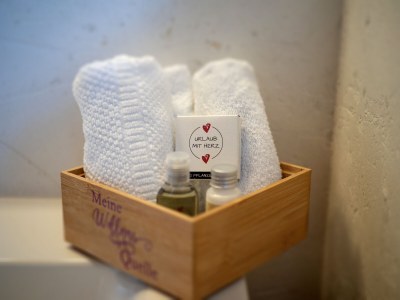 Holiday apartment in the Landhaus Alpbach - Features photo 24