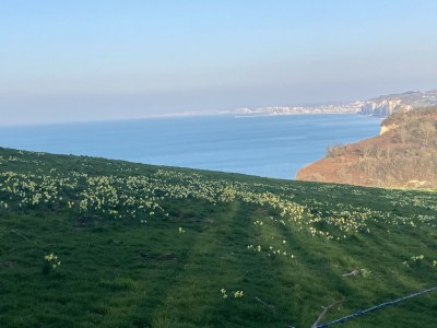 Holiday house Maison des Petites Bruyères - Outdoor photo 28