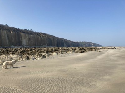 Holiday house Maison des Petites Bruyères - Outdoor photo 29