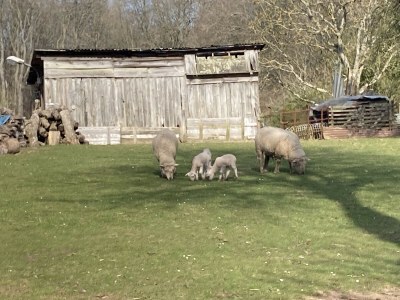 Holiday house Maison des Petites Bruyères - Outdoor photo 30
